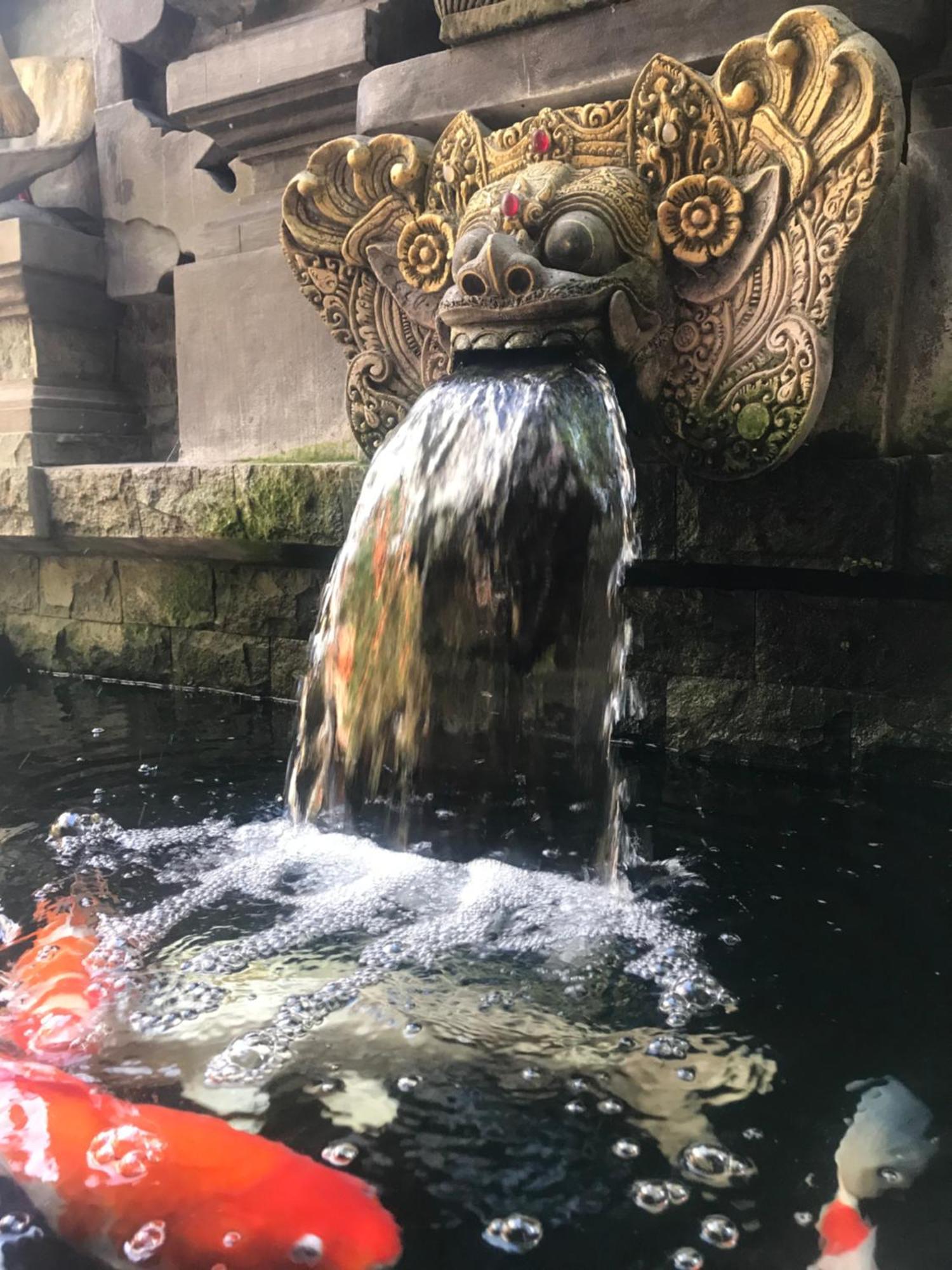 Banana Home Stay Ubud Εξωτερικό φωτογραφία
