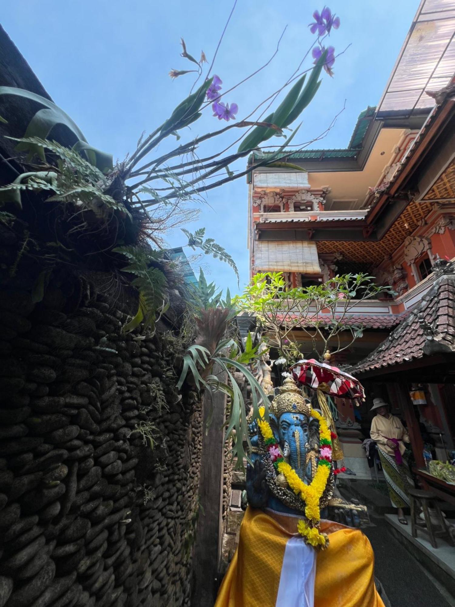 Banana Home Stay Ubud Εξωτερικό φωτογραφία